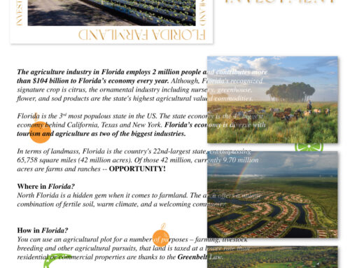 Florida Farmland